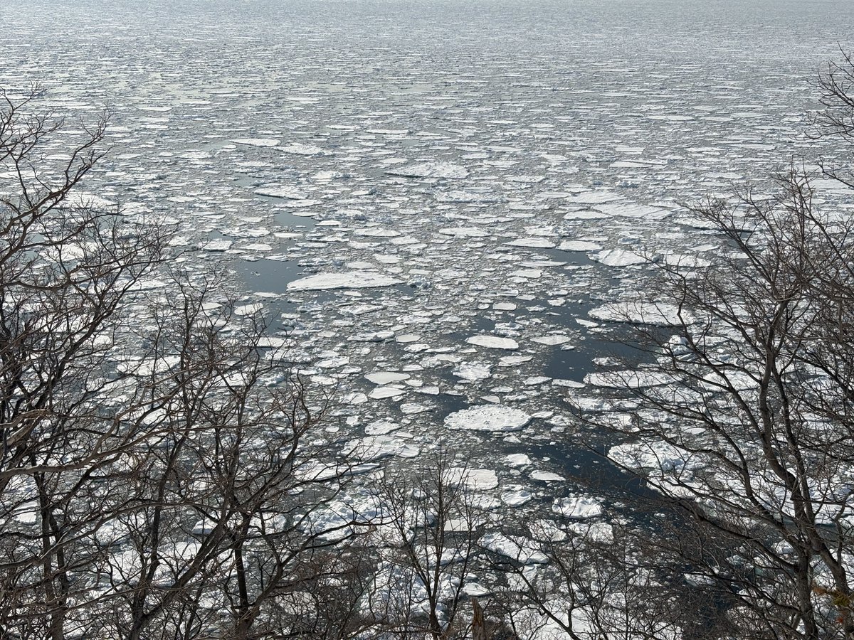 NaRi_Style tweet media