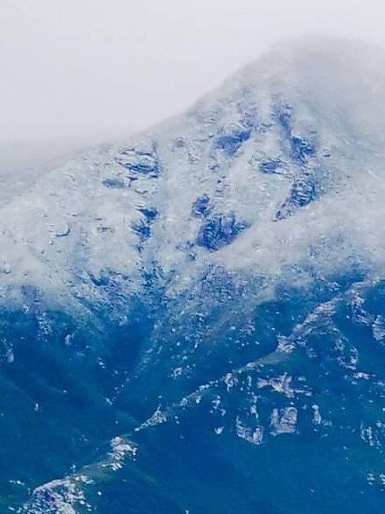 Alice. Frikken Alice. 🚜 tweet media