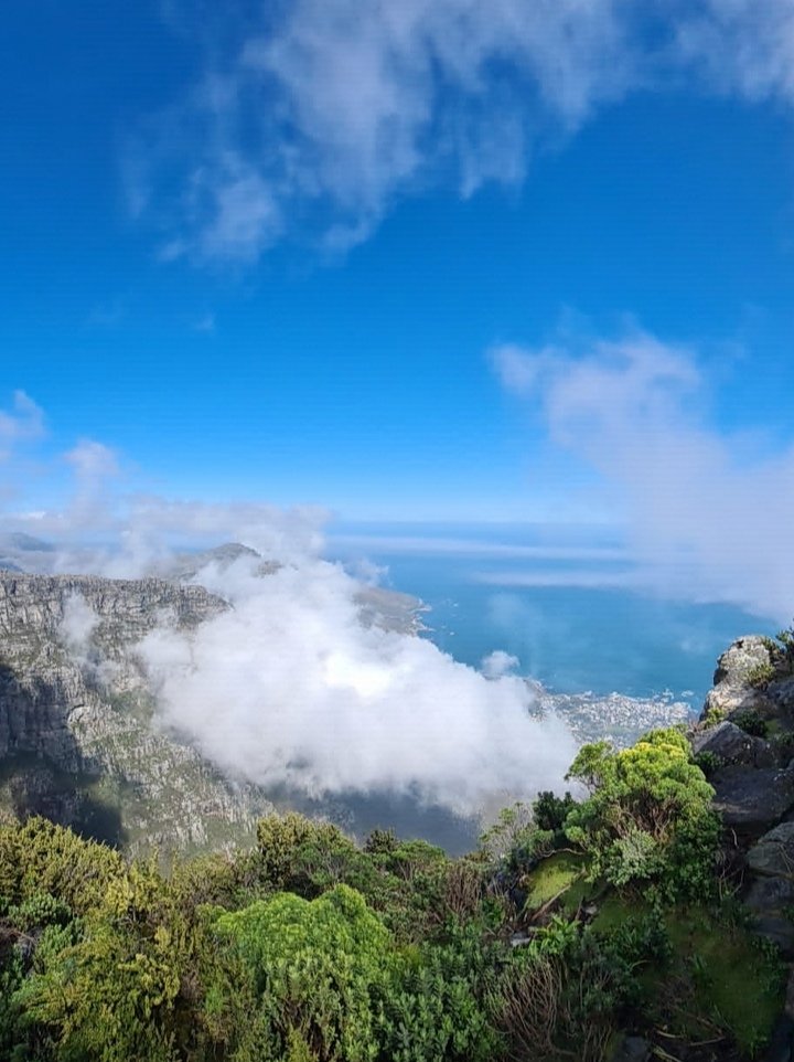 Alice. Frikken Alice. 🚜 tweet media