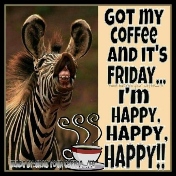 Martin Neal tweet media