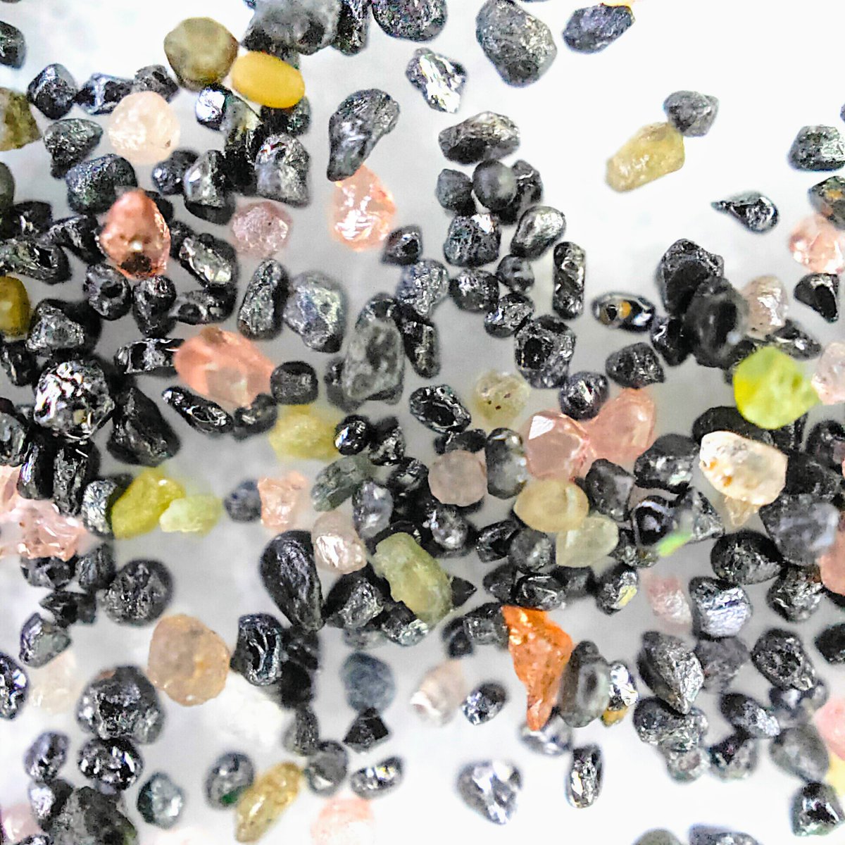 りかたん tweet media