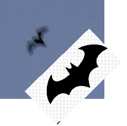 Cee 🎄 tweet media