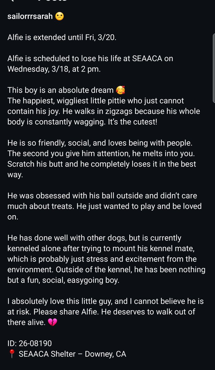 Foster a shelterpet at ZERO COST🐾 tweet media