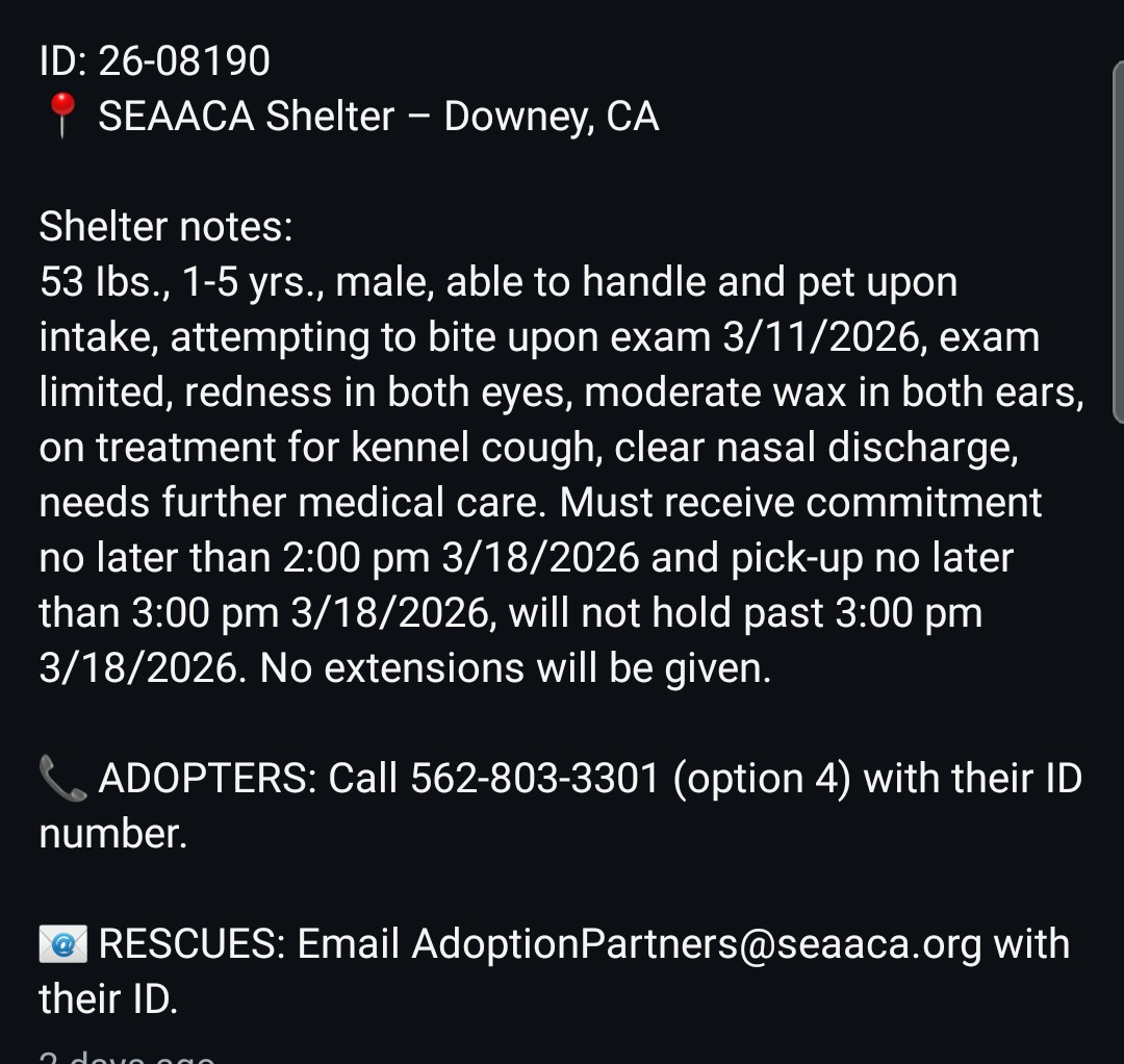 Foster a shelterpet at ZERO COST🐾 tweet media