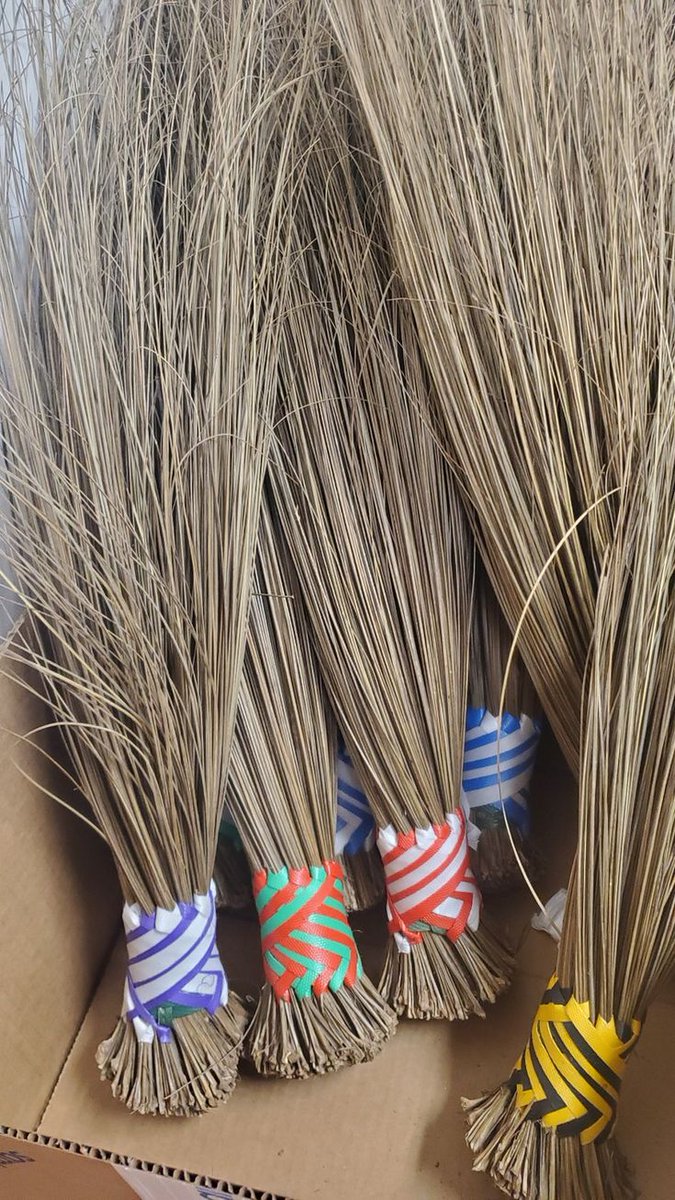 Tolu 🌟 tweet media