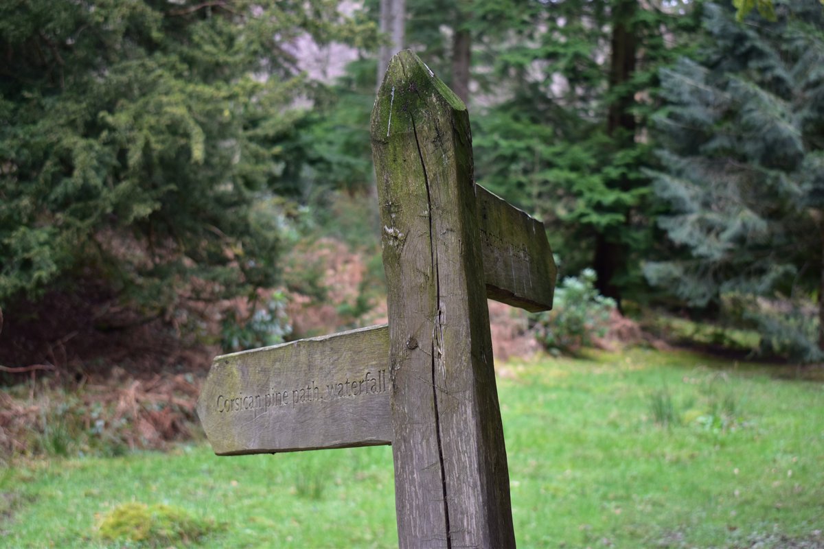 Rob Pike tweet media