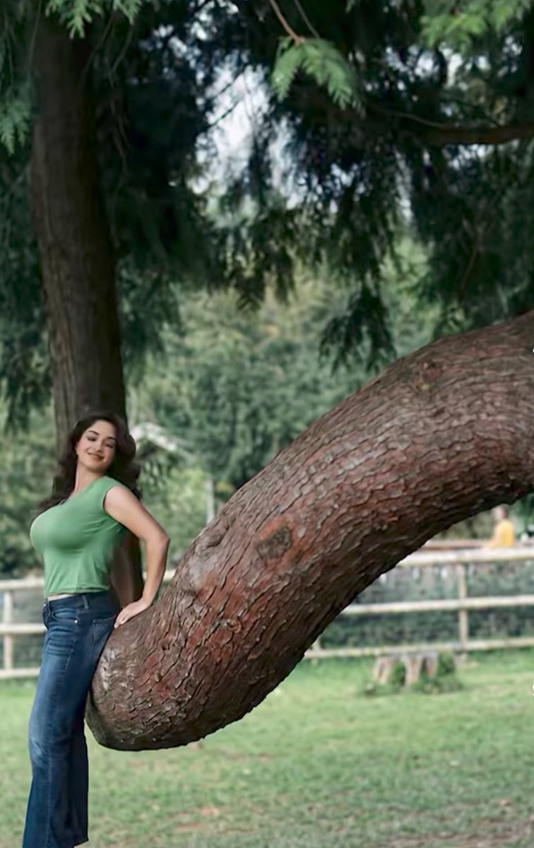 varshaworld✨🌸 tweet media