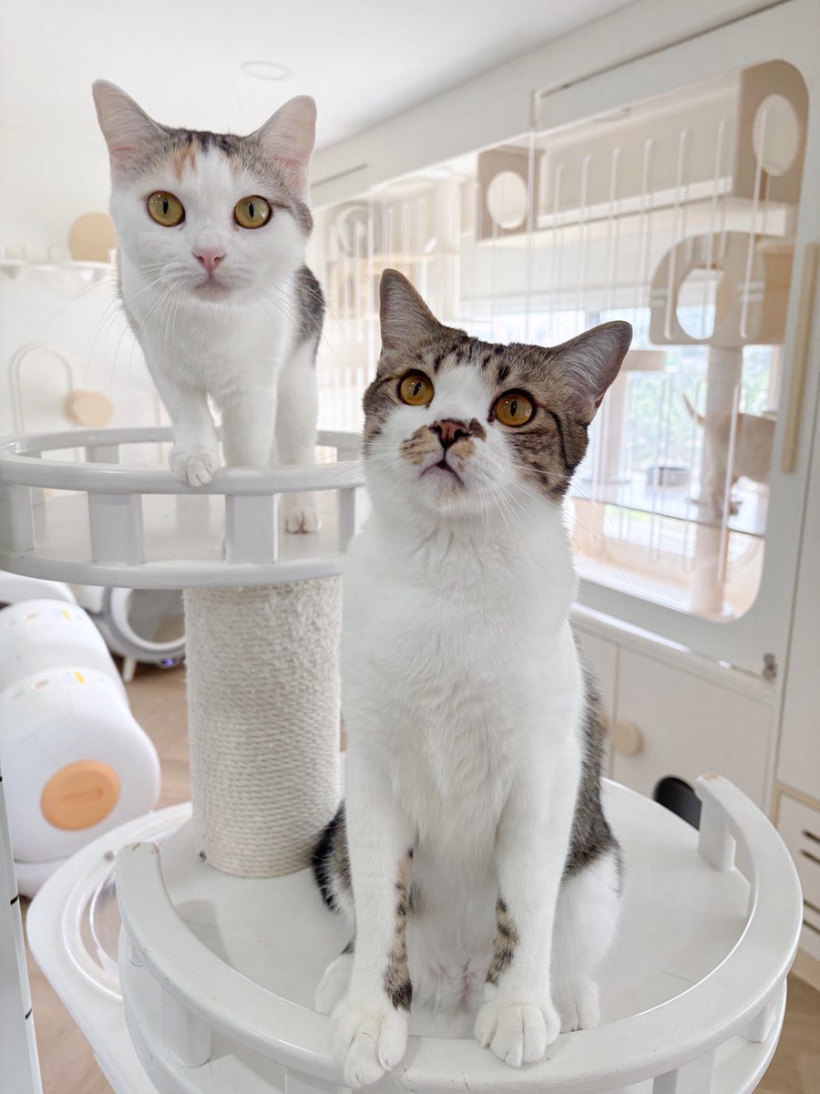 Keam🎈 tweet media