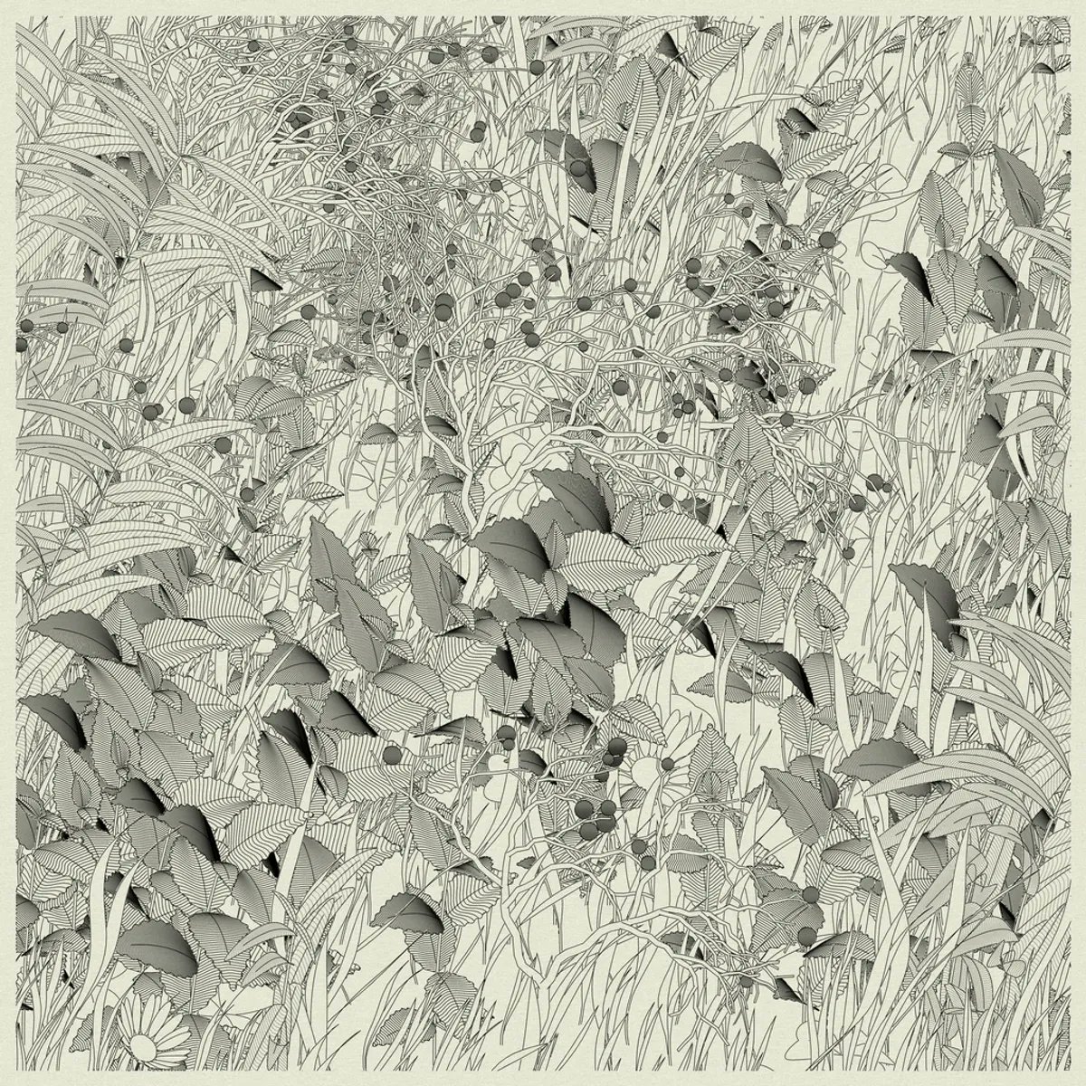 h=n collector tweet media