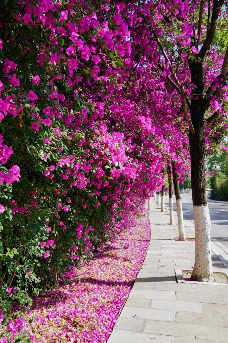 Edward J Bock tweet media