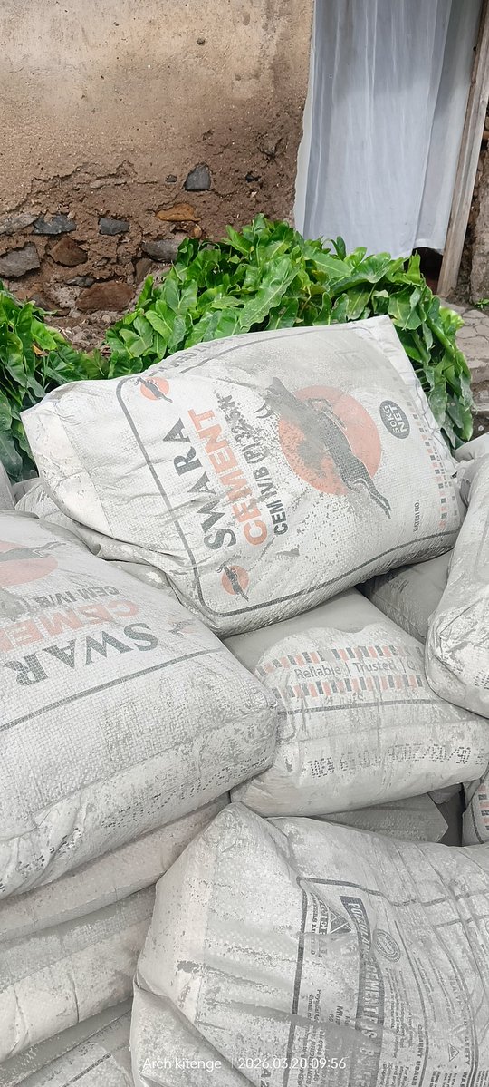 kitengeArch tweet media