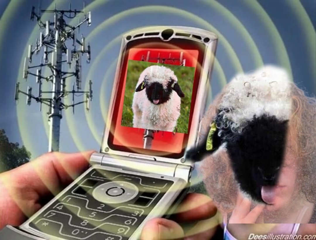 Jane (slots 4/7) tweet media