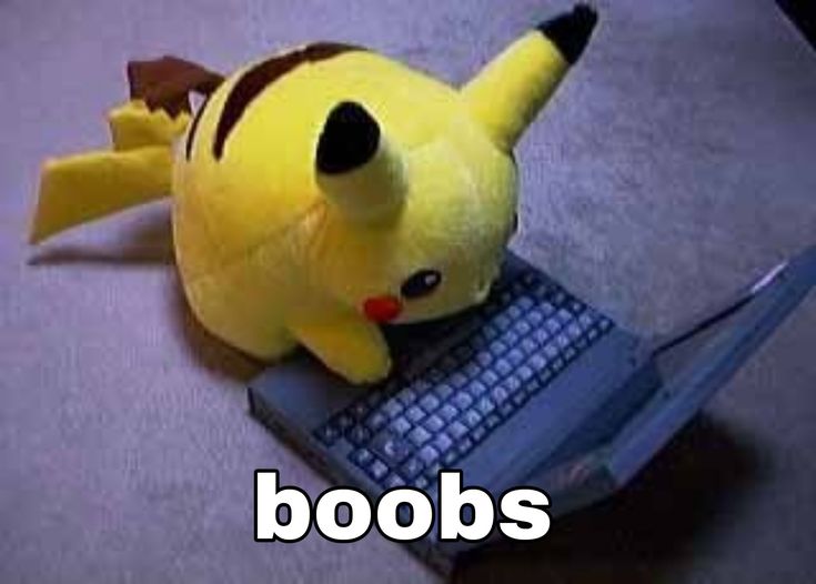 maya ⚢ tweet media