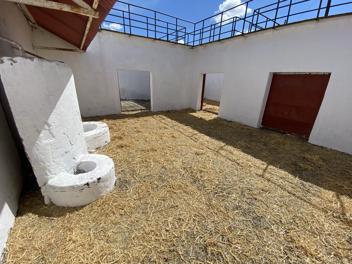 Juventud Taurina La Carlota tweet media