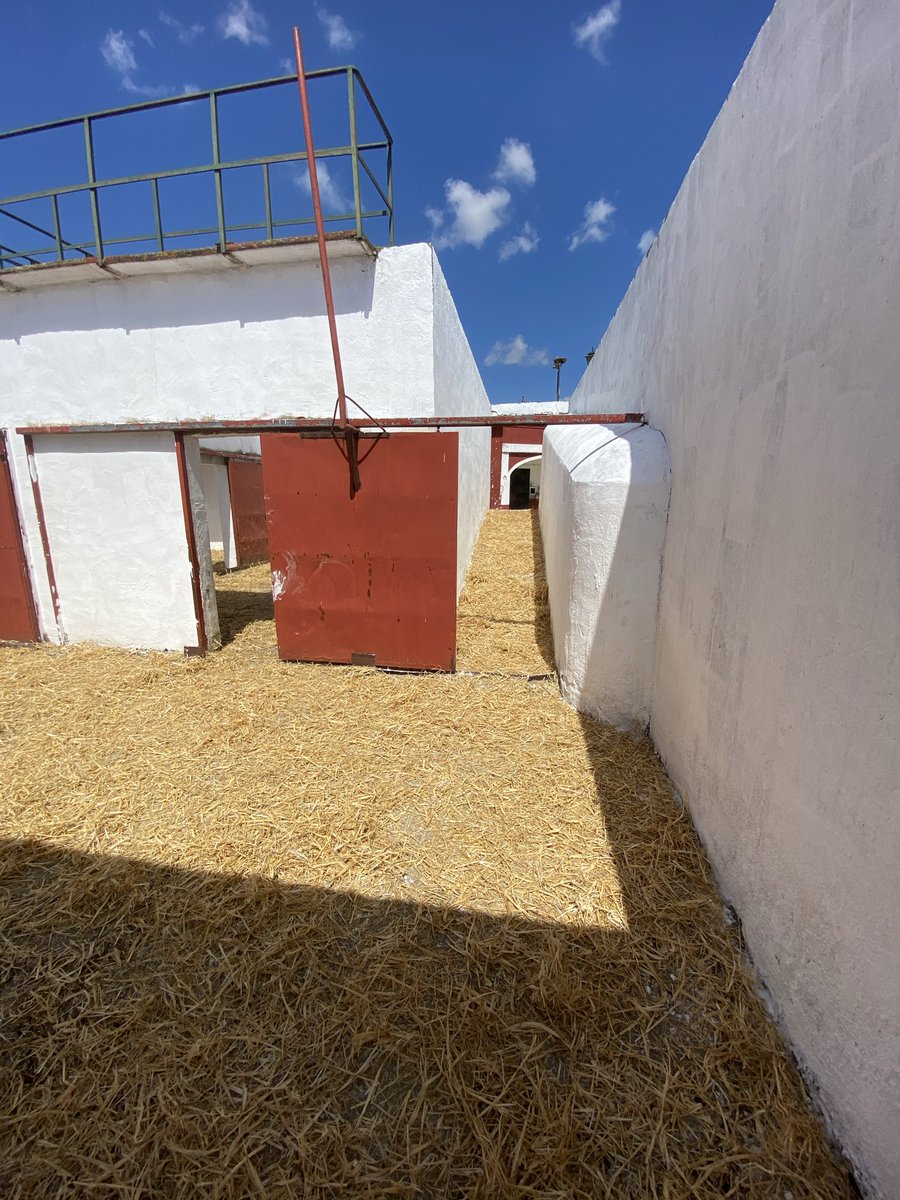 Juventud Taurina La Carlota tweet media