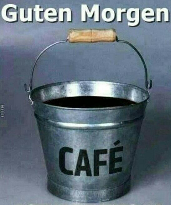 ADLER 🇩🇪 tweet media