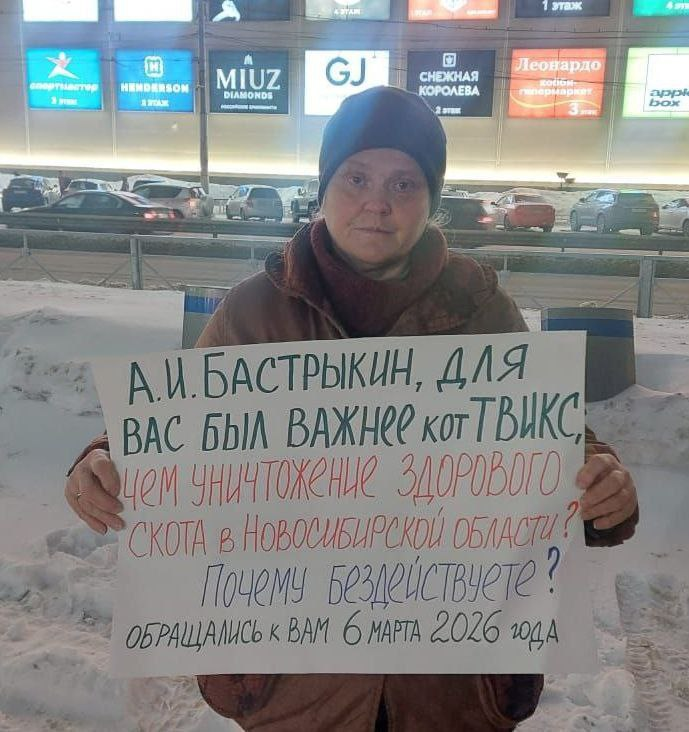 Пан Пачковский tweet media