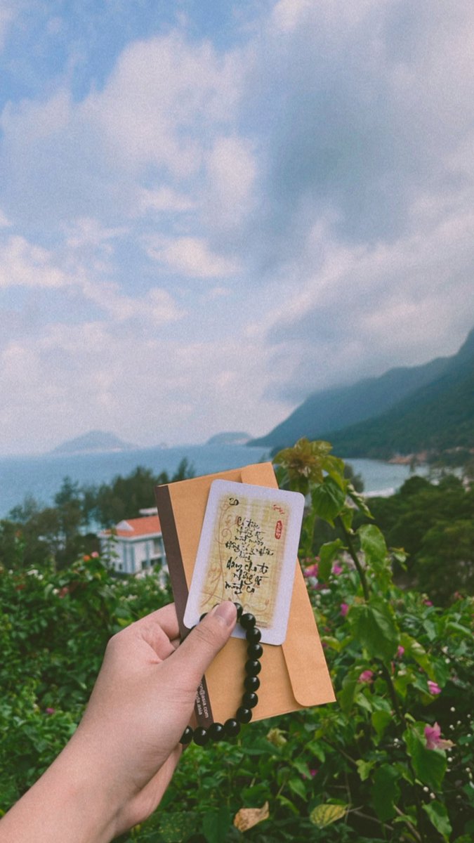 Minh Duc tweet media