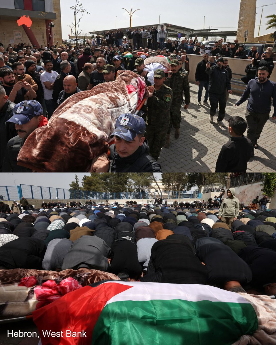 The Australian tweet media