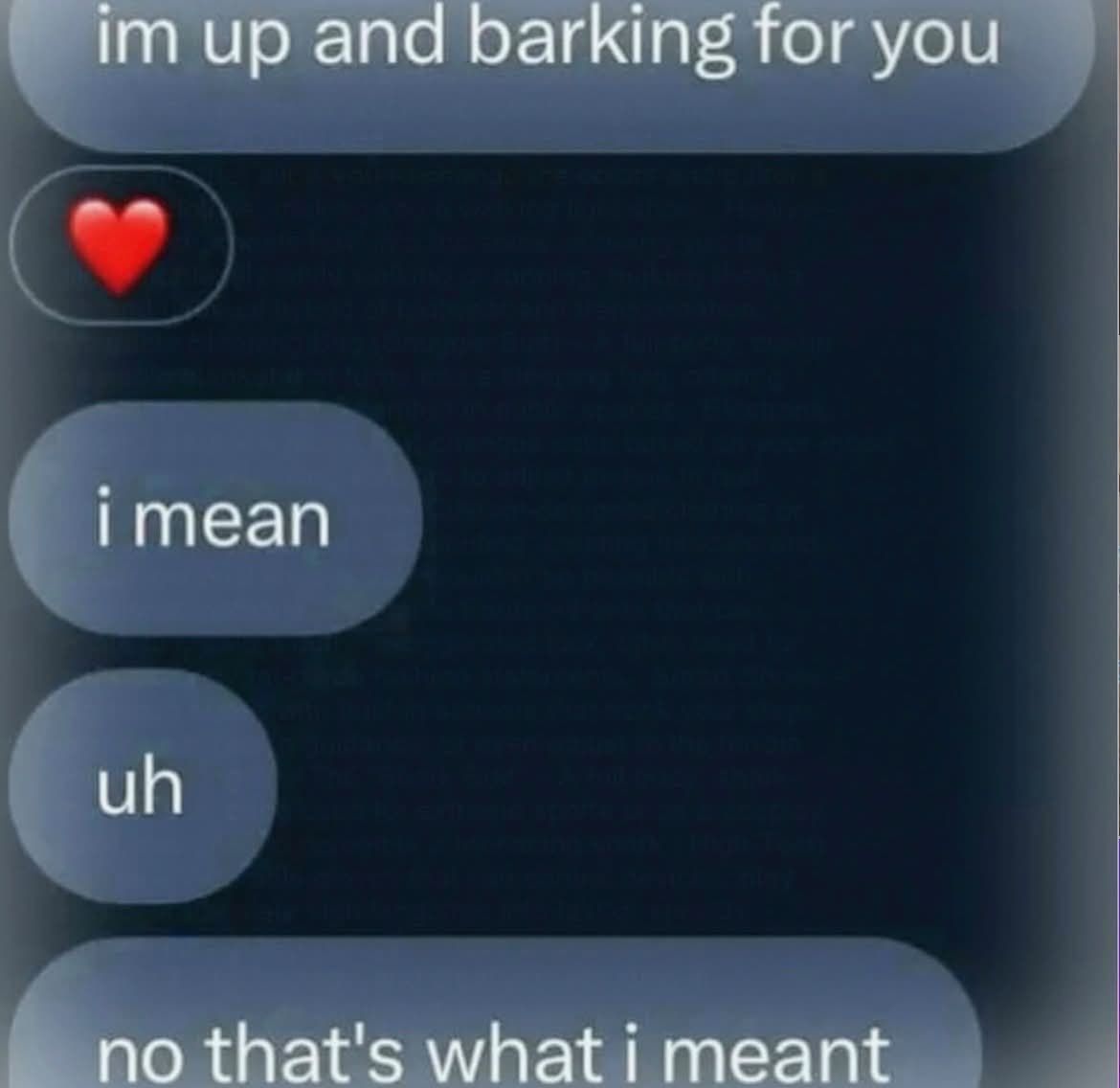 Wild Text Messages tweet media