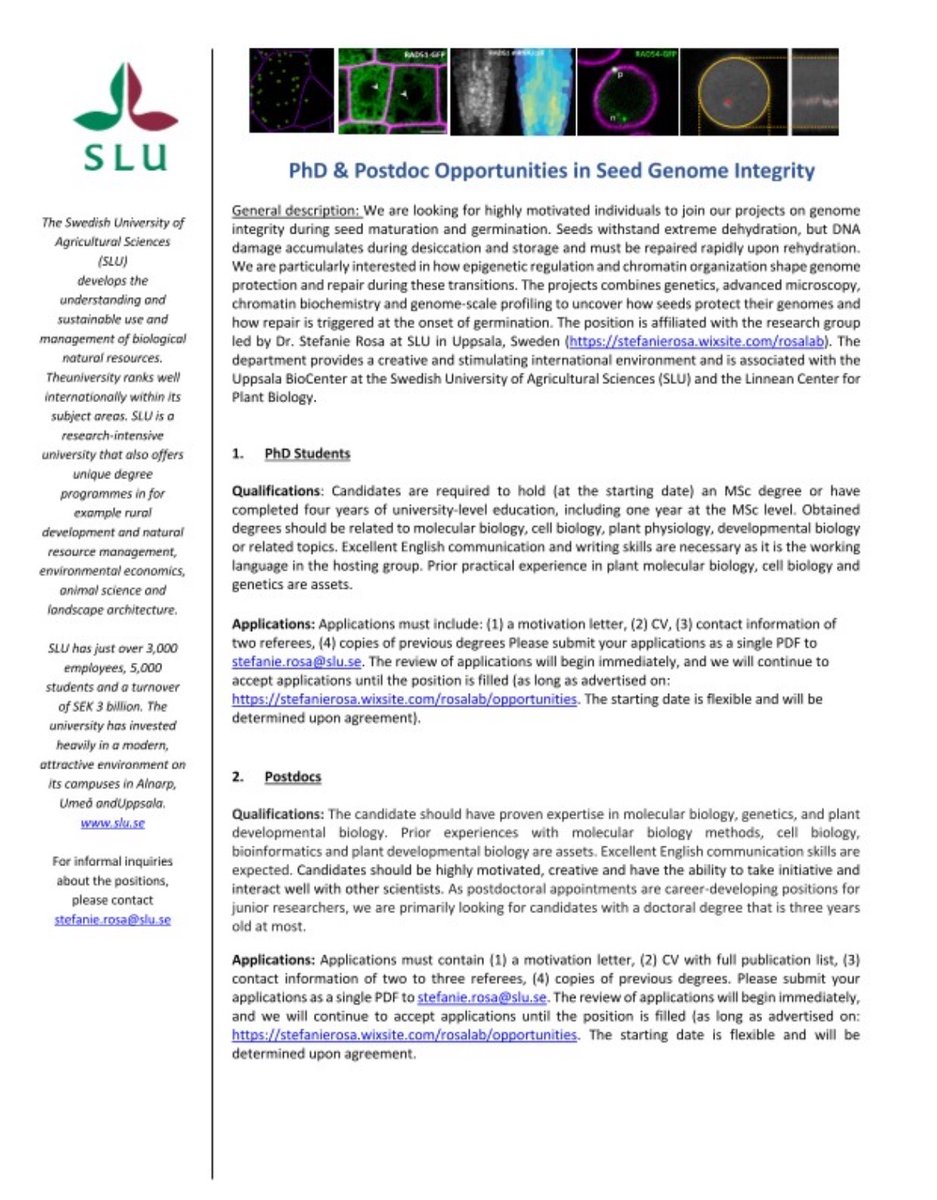 Cosmos Scholarship Network tweet media