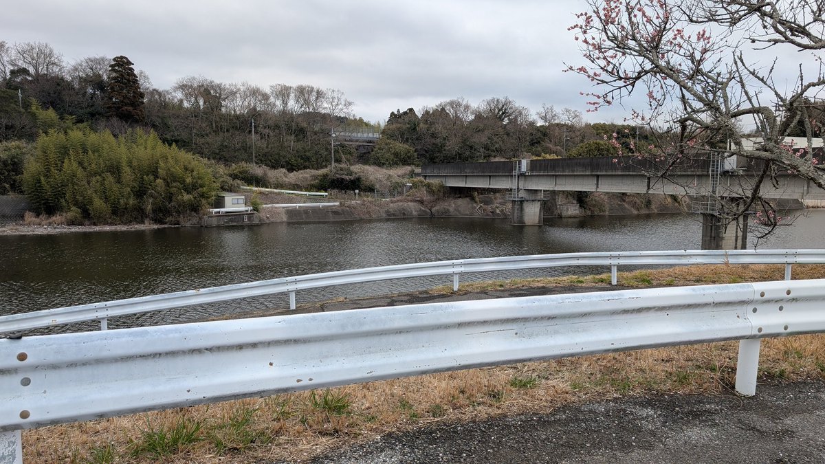 江戸川 太郎 tweet media