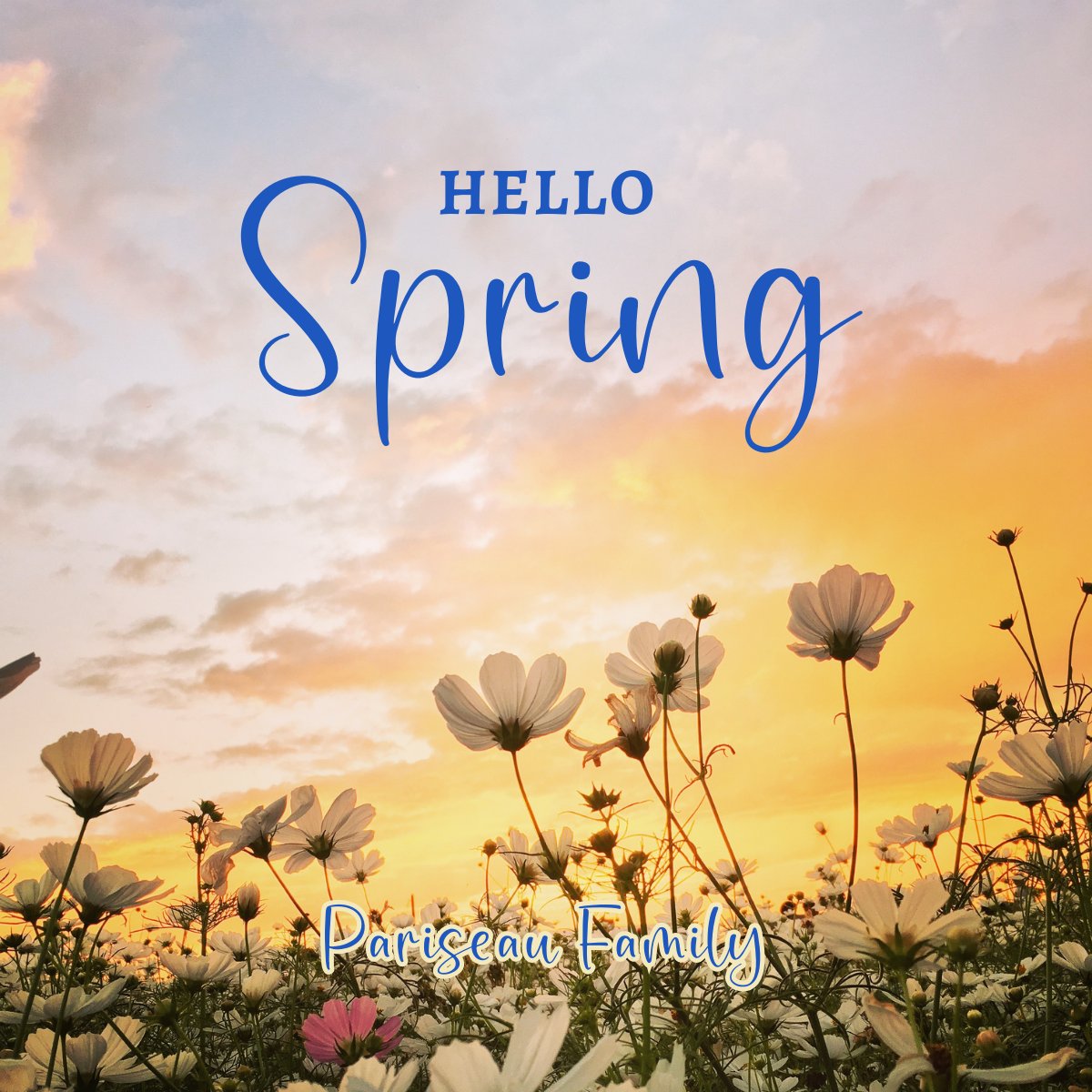 PariseauGroup's tweet photo. 🔅 Hello, Spring... a fresh start painted in blossoms, sunshine, and new beginnings!🌼
#helloSpring #Springvibes #freshstart #longerdays #Springenergy #happySpring #Pariseaufamily #smile #bekind #beagoodneighbor #PariseauPropertiesGroup #theDSGal https://t.co/2vYgbMZqTL