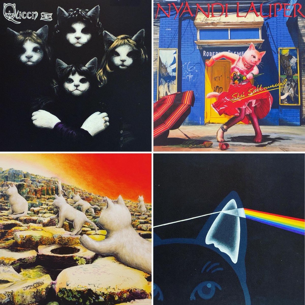 猫専門　またたび堂 tweet media