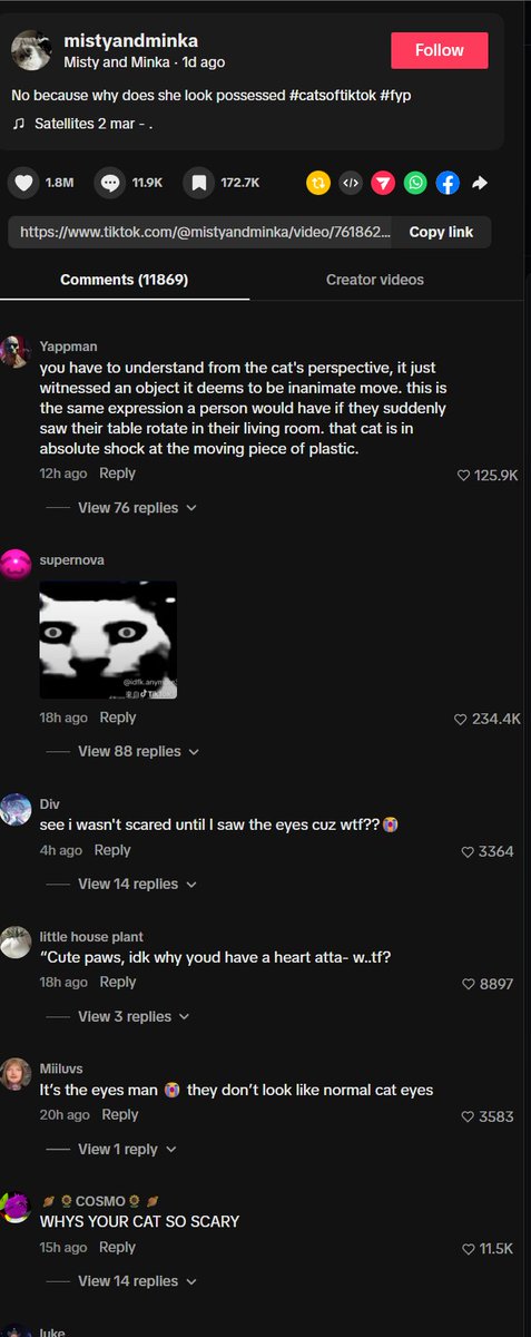 WifBondor tweet media