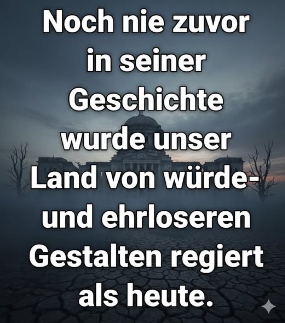 Funny Bunny tweet media