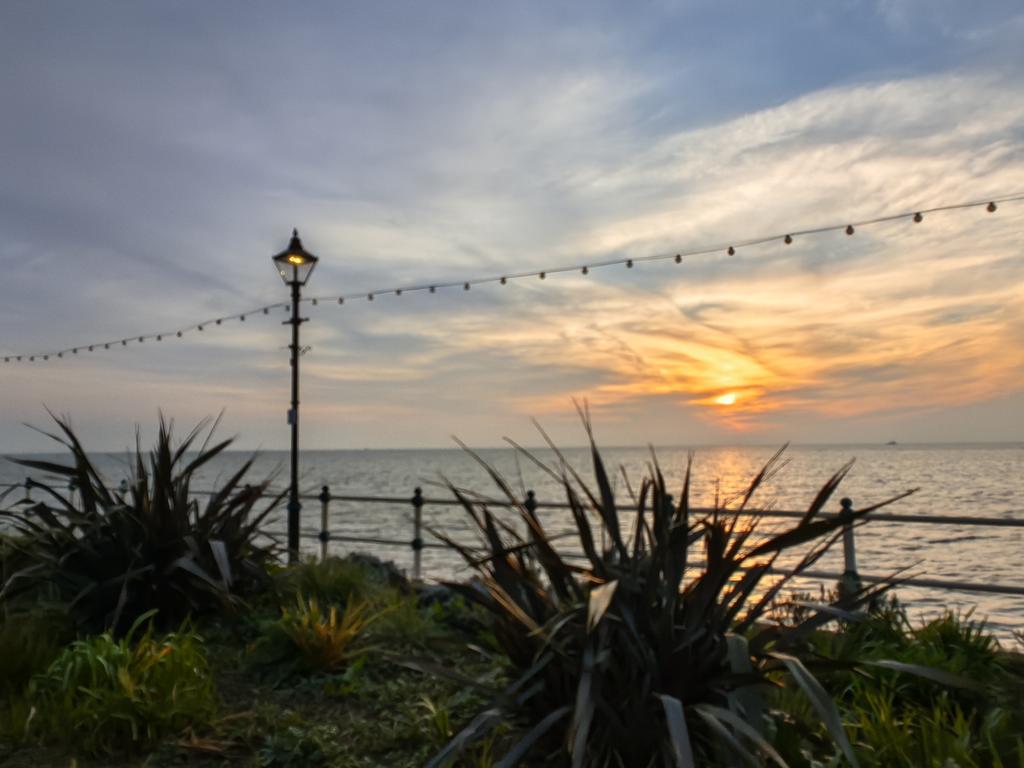 Nadezna Mandhari tweet media