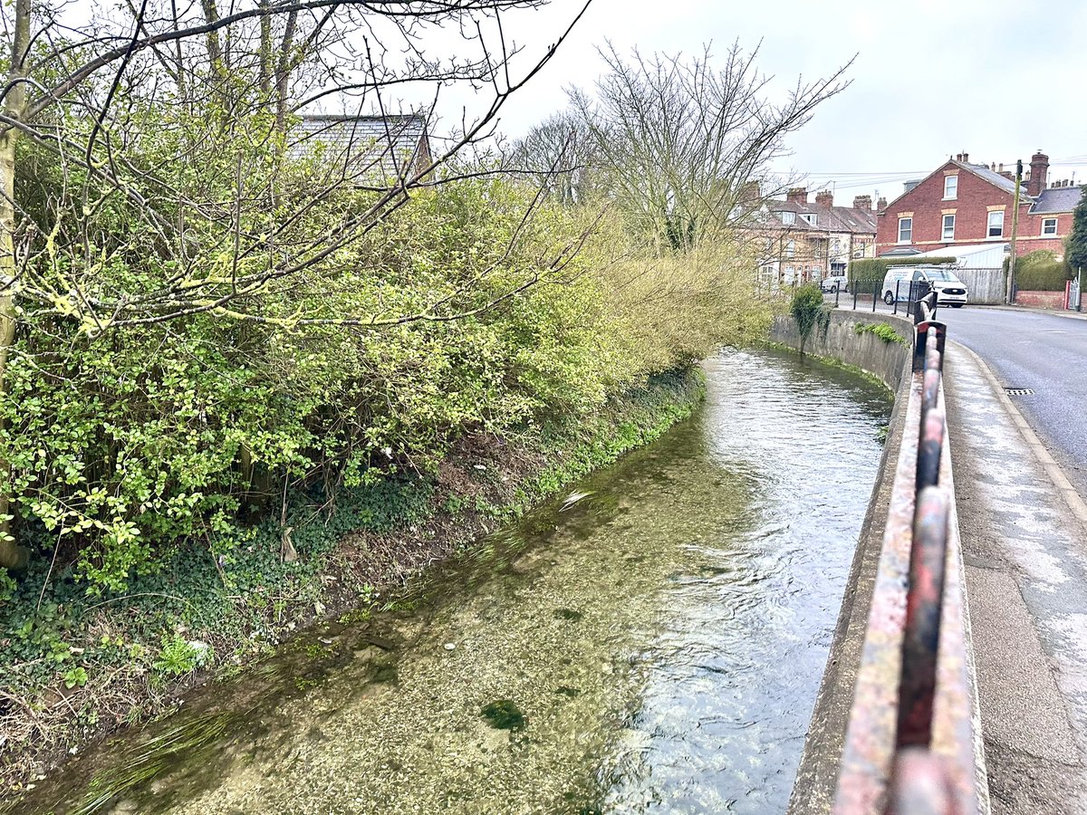 The Hutch Runs tweet media