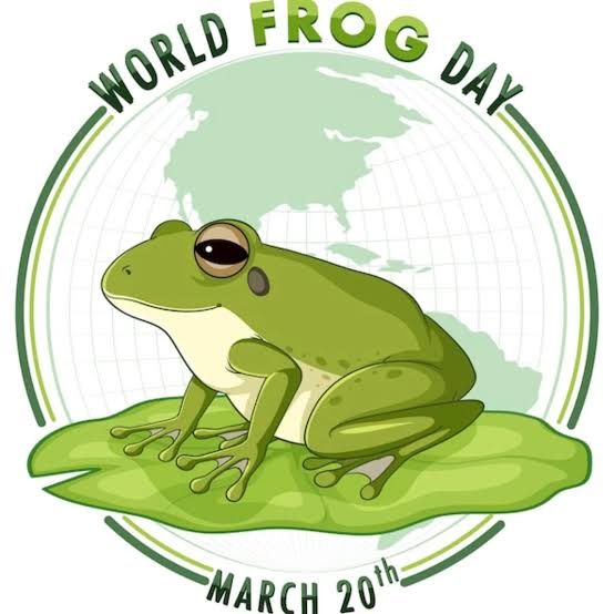 WorkPlayLo2355's tweet photo. #WorldFrogDay 
#worldfrogday https://t.co/wkmwywMMz5