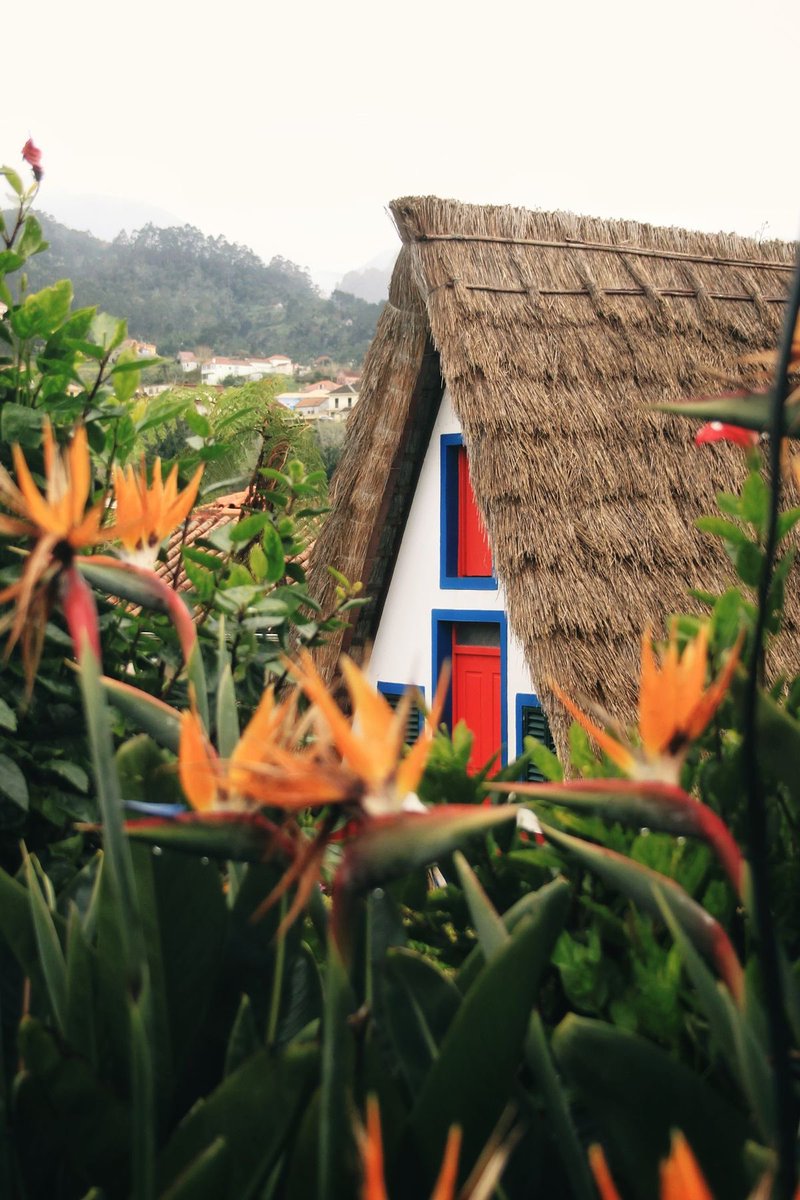 vistaaura tweet media