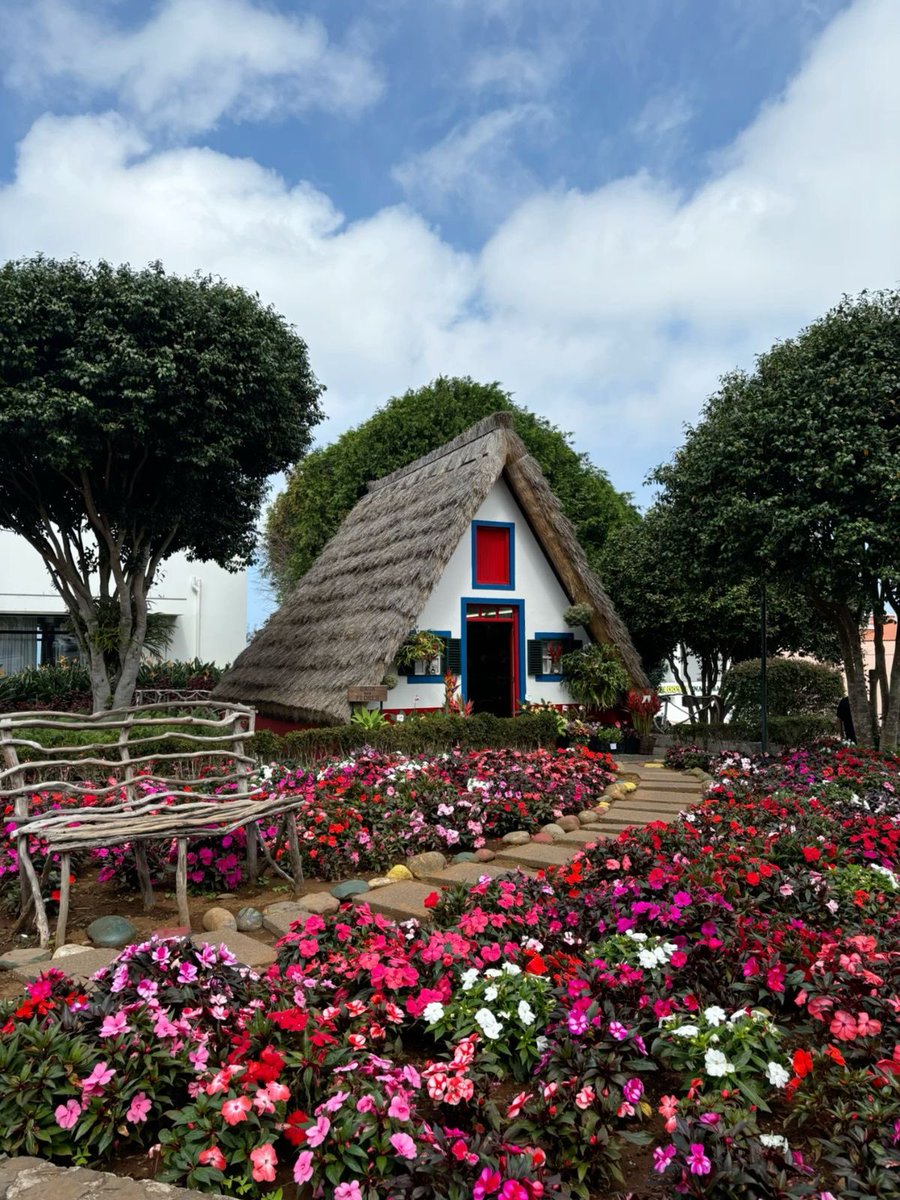 vistaaura tweet media