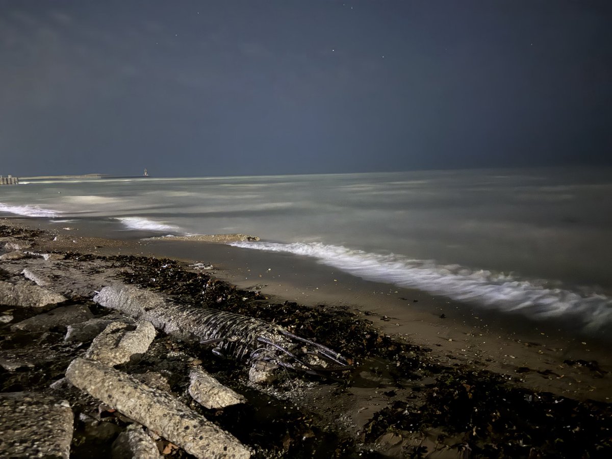 🐸🖤 𒁹pallas 🖤🐸 tweet media