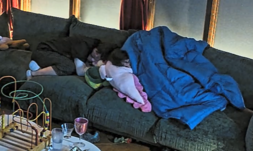 Amorphous tweet media