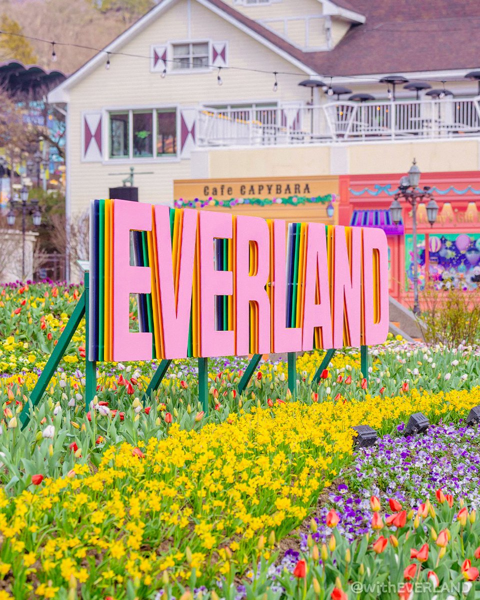 에버랜드 tweet media