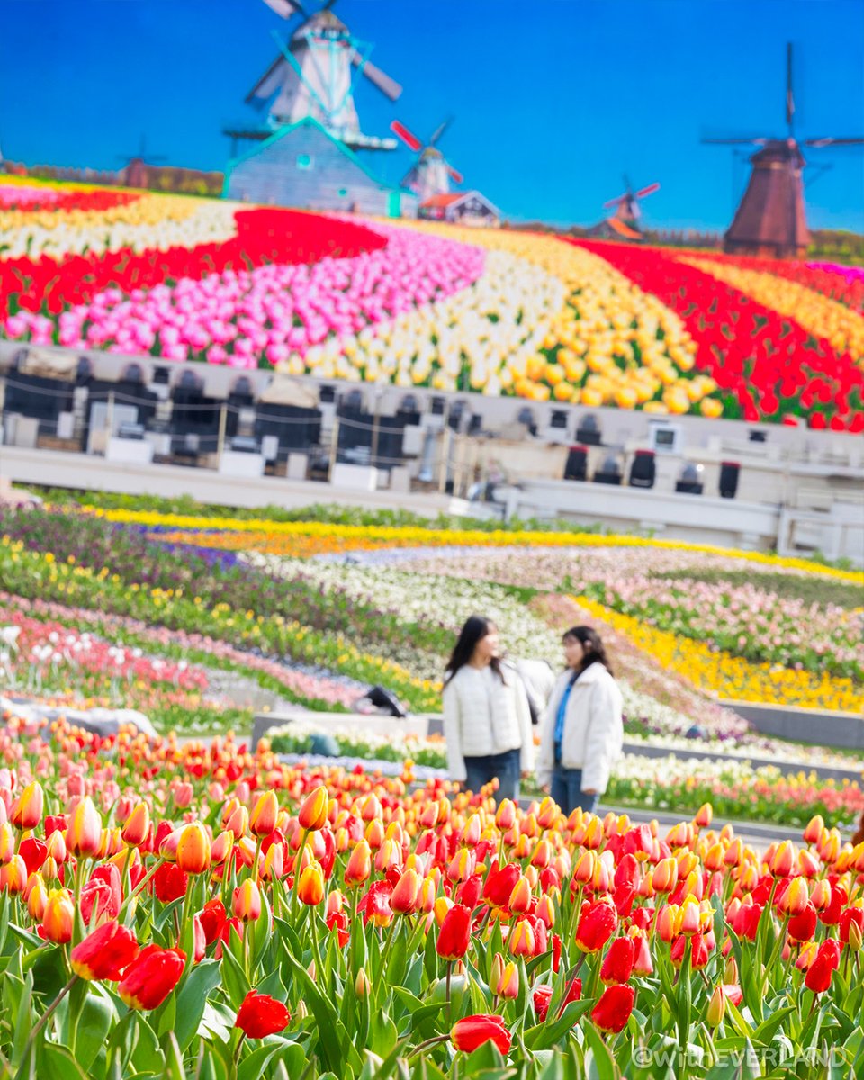 에버랜드 tweet media