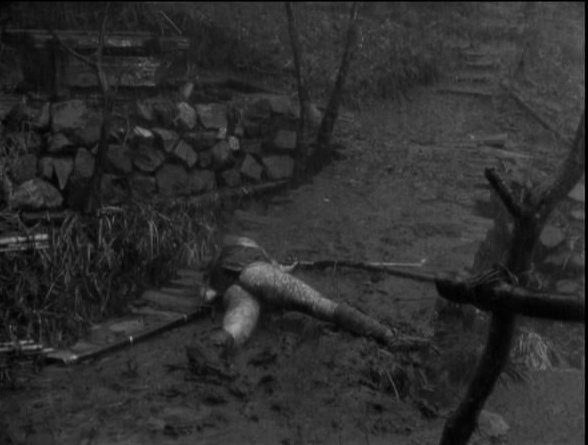 Ermahgerd Bergman tweet media