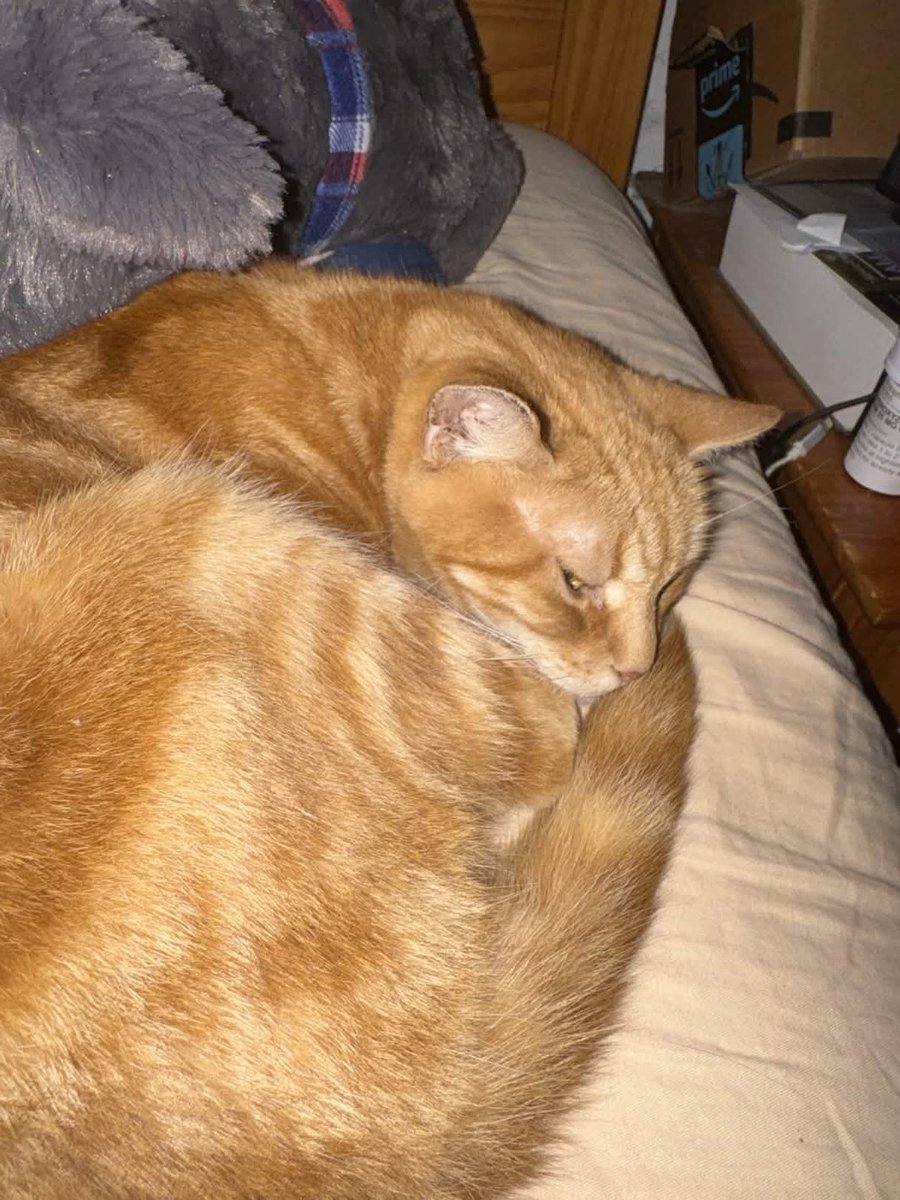 Low Res Chopper Superiority tweet media