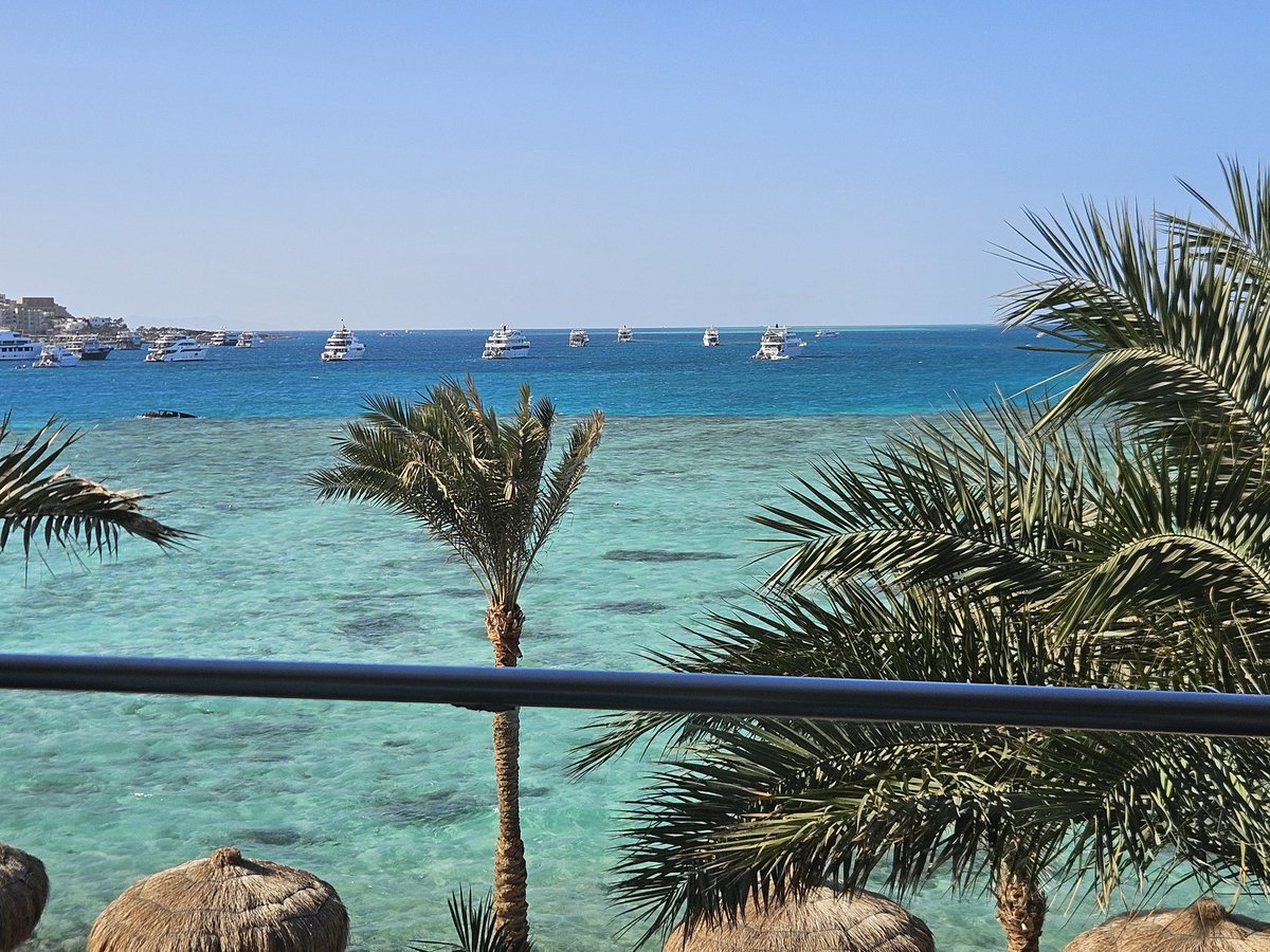 Ivan Bullish tweet media