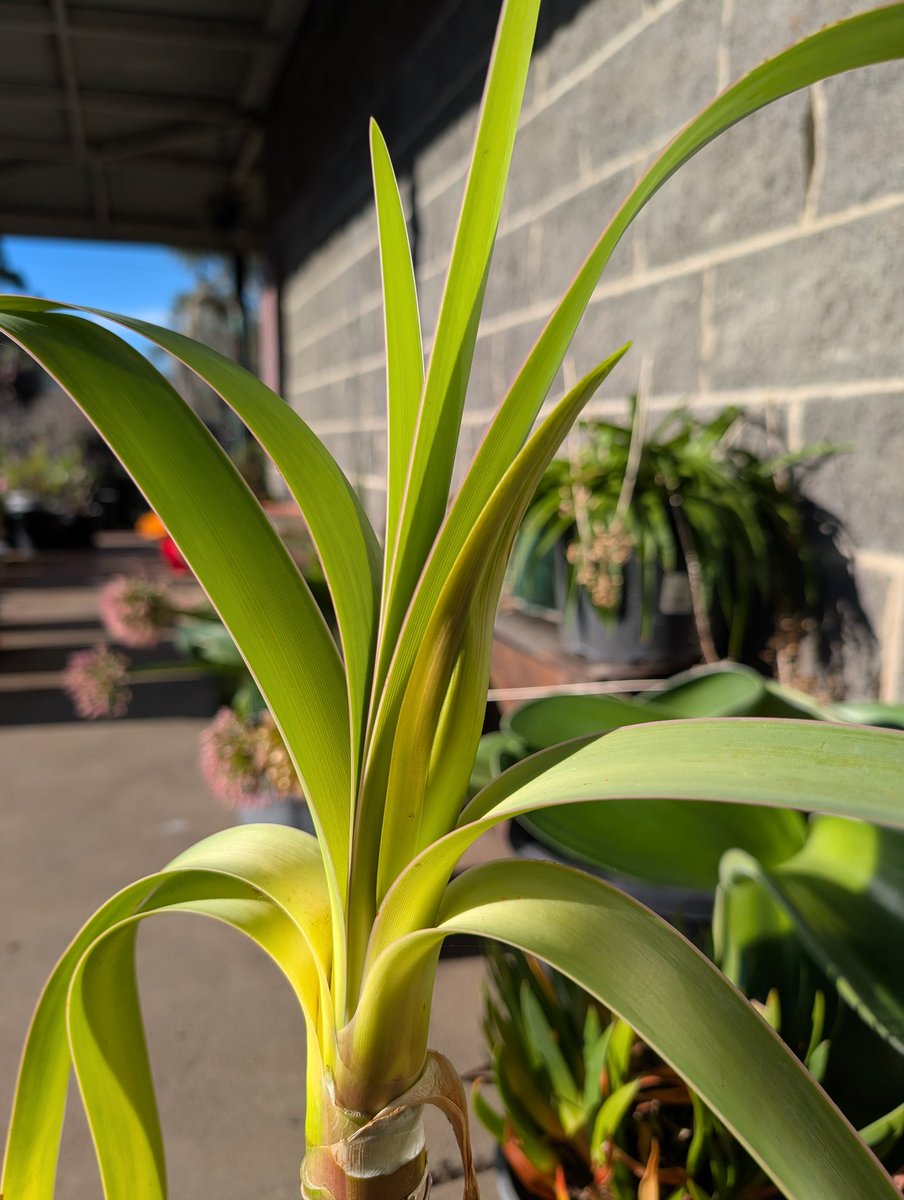 John Sheely tweet media