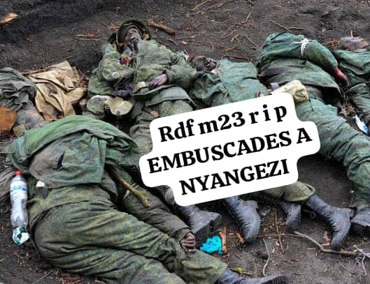 la patrie15@gmail.com tweet media