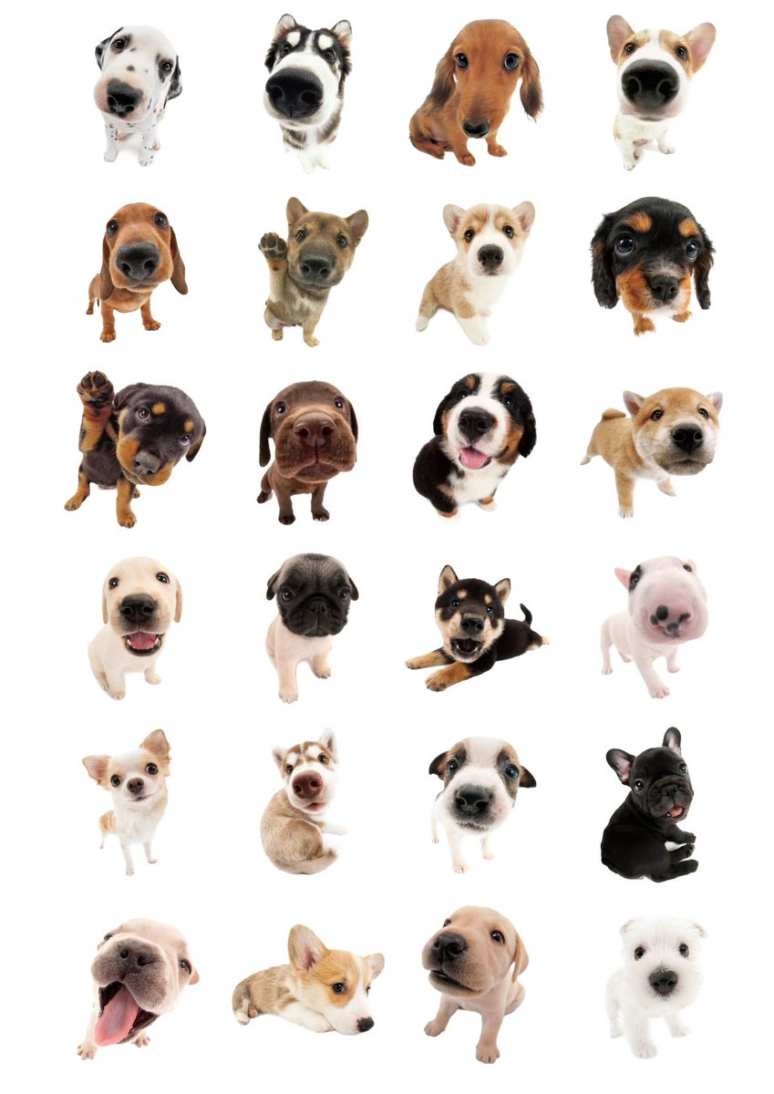 인스스 꾸미다 죽어도 되니???? 

투명배경 아래 드라이브에서 받아가세요 drive.google.com/drive/folders/…