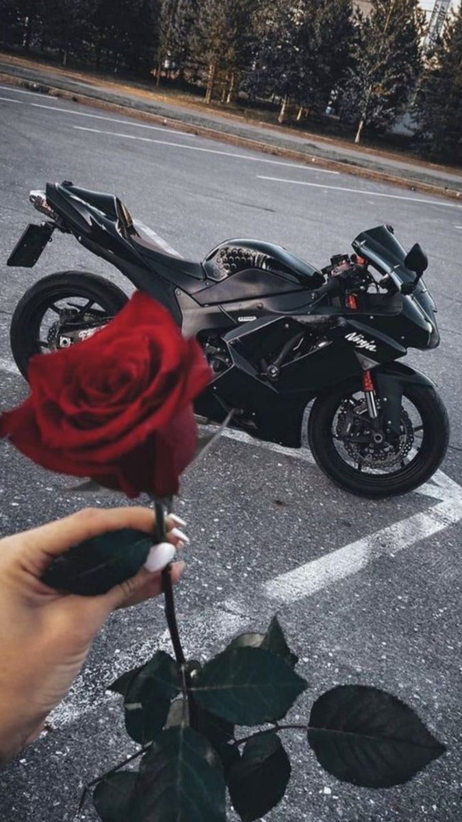 Scarlette 💫 tweet media