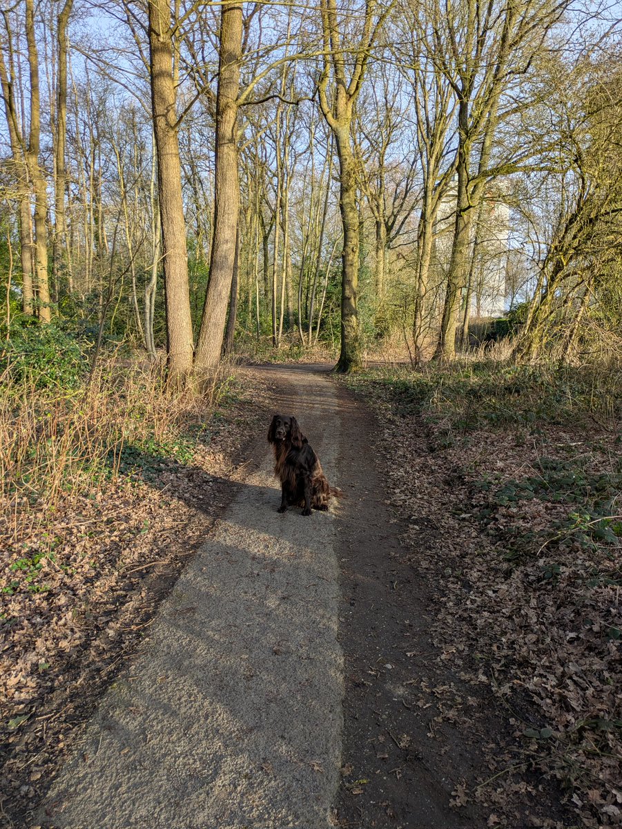 Bert Fidom 💙🇮🇱✡️🎗️🤟(no DM, i will not respond tweet media