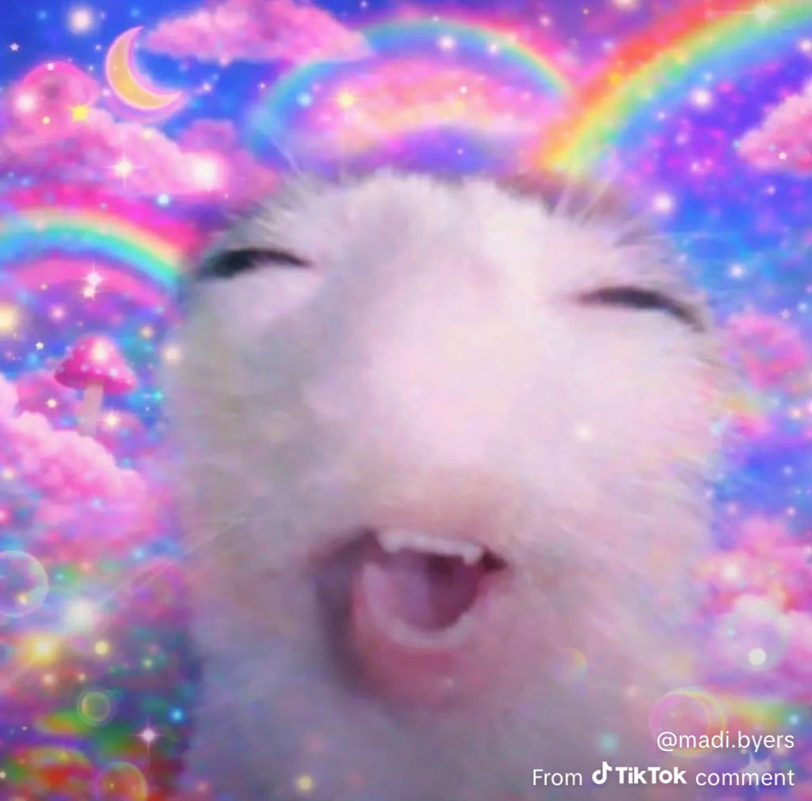 ☀️ Lumira ☀️ tweet media