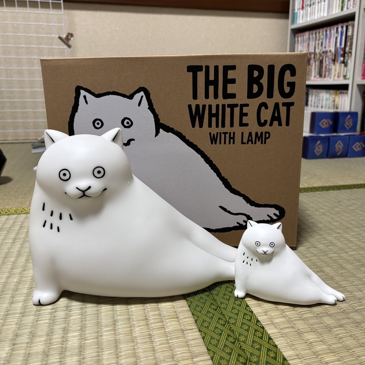 蔵人@光合成 tweet media