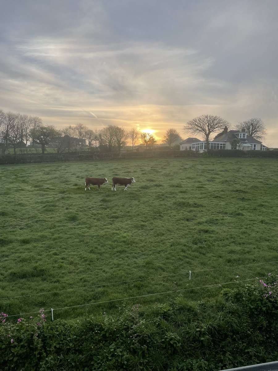 Gary Rich tweet media